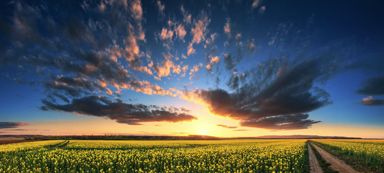 Hungarian skies CXIX.